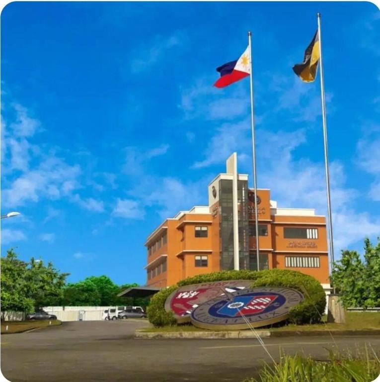 Ảnh 4