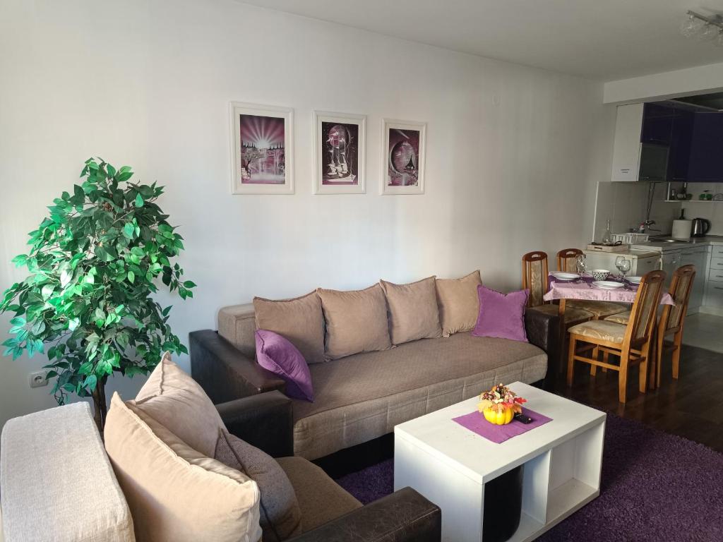 Apartman BFF - 3