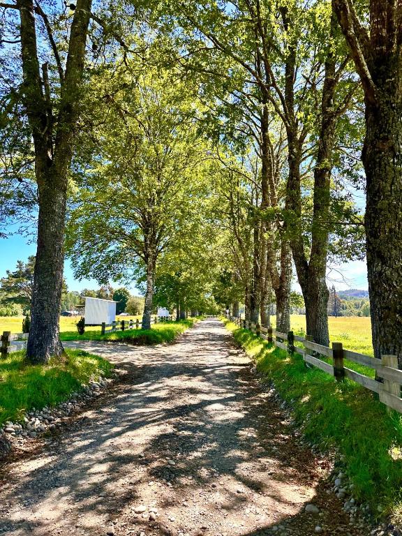 La Casa del Bosque - 2