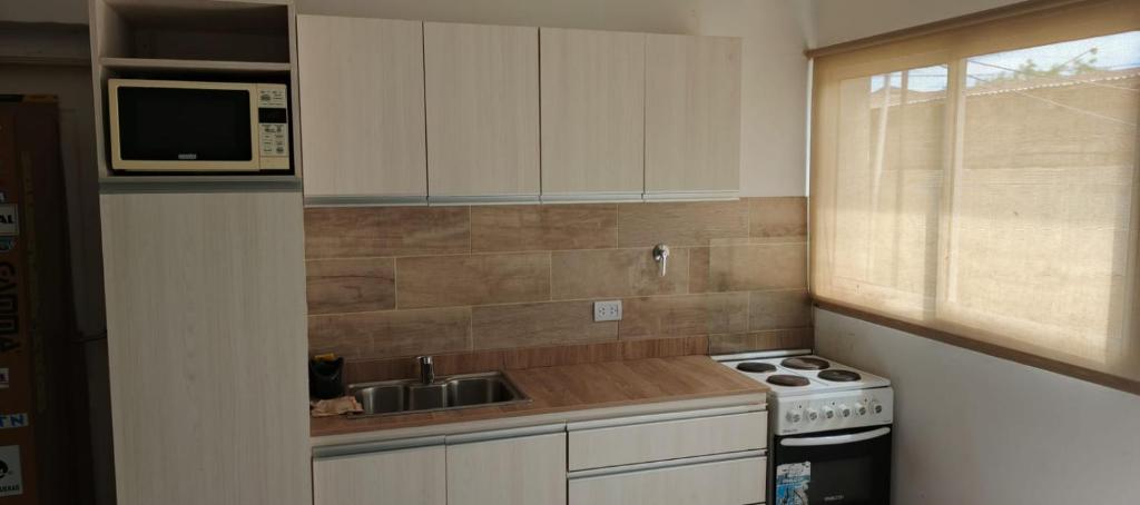 Casa y Departamento en Centenario - 1