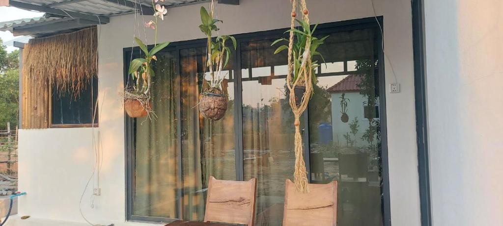 Zen Space Nesat, Phumĭ Chroŭy Svay