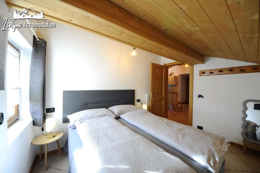 Appartamento ReJa by Livigno Accomodation - 5