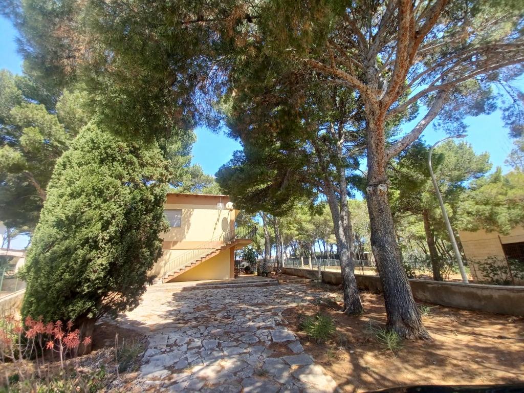 Villa con Pineta per Famiglie - 5