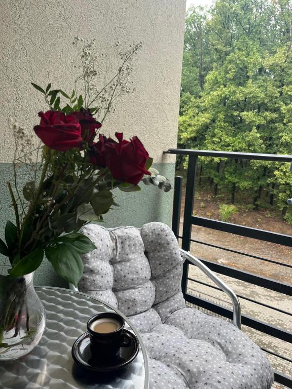 Apartman Sanja 2, Vrnjačka Banja