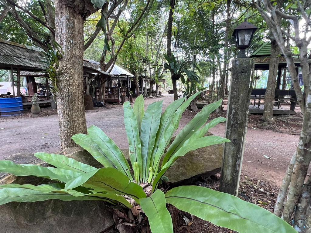 Surrounding environment