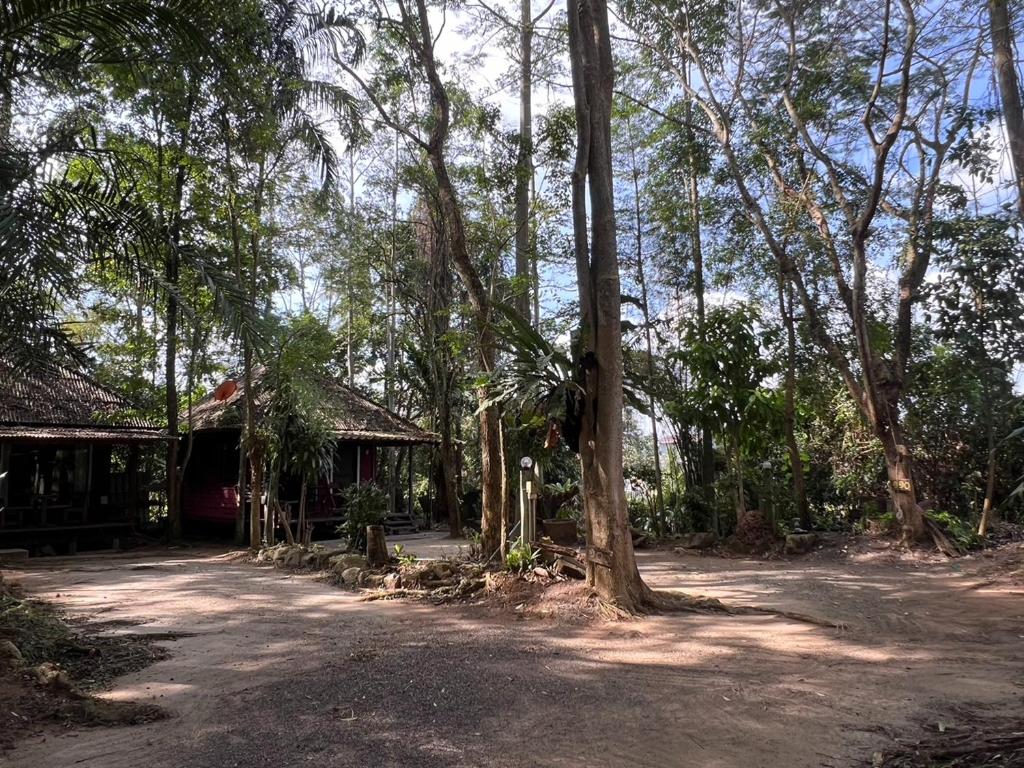 Surrounding environment