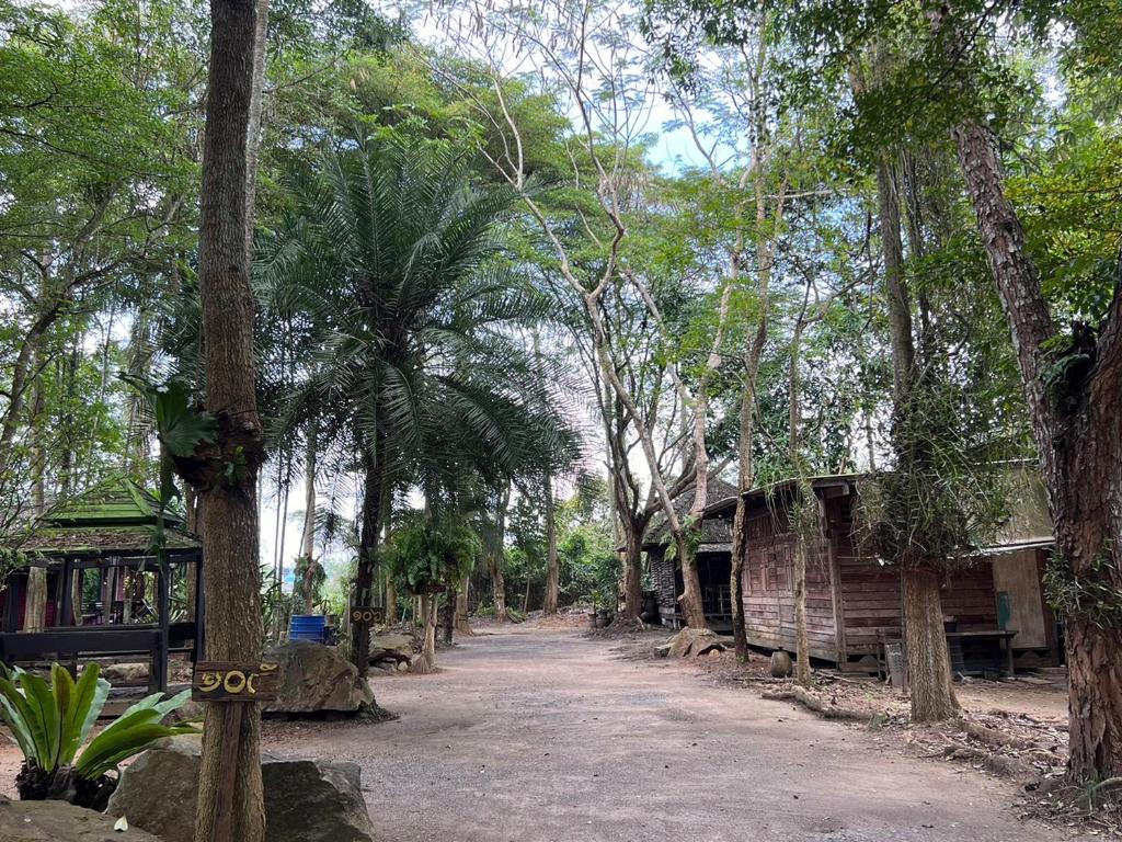 Surrounding environment