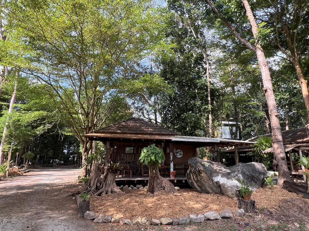 Surrounding environment