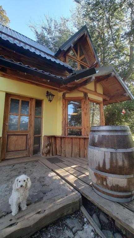 Cabaña en la montaña - 2