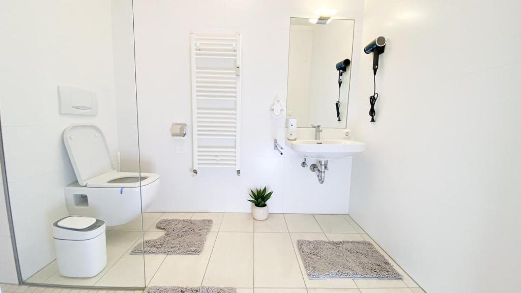 Donau Bliss Linz City Suite - 4