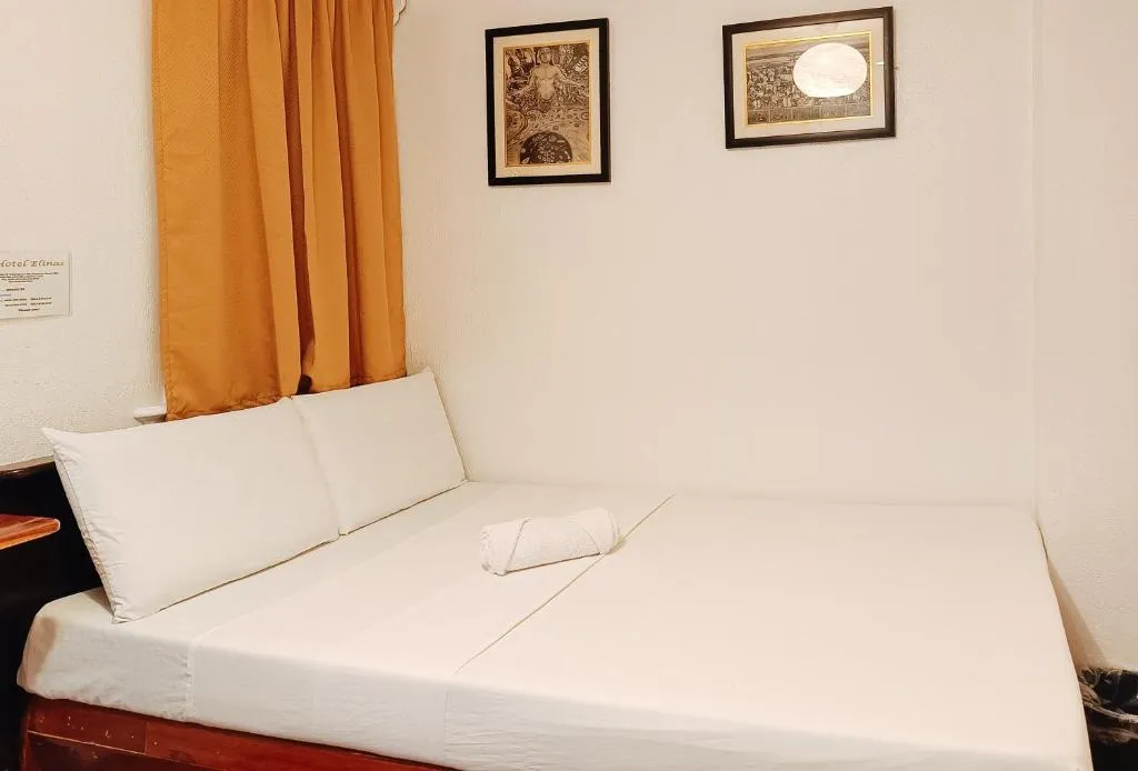 Hotel Elinas and Restaurant, hotel in Tuguegarao City