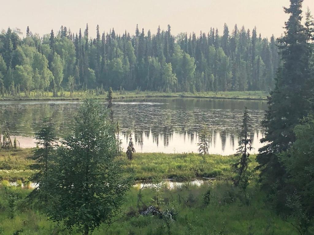 Scout Lake Adventures - LAKE FRONT fishing avail, Soldotna