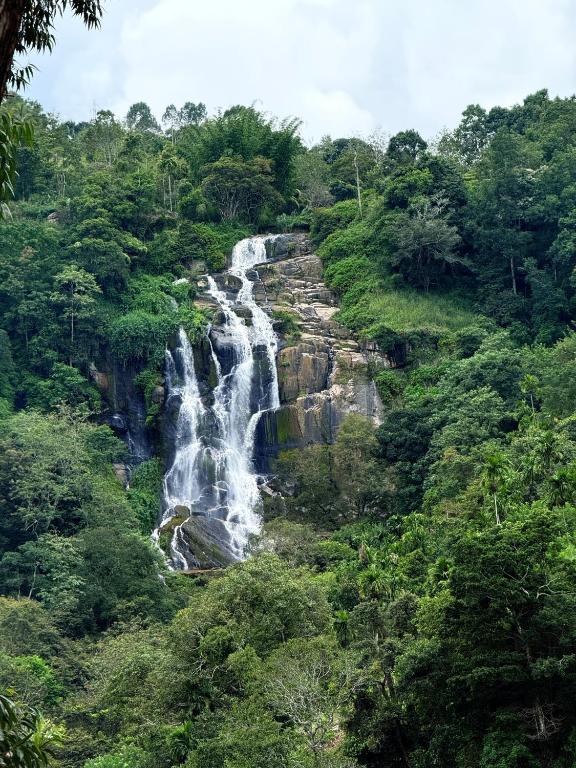 Ella waterfall view, Ella