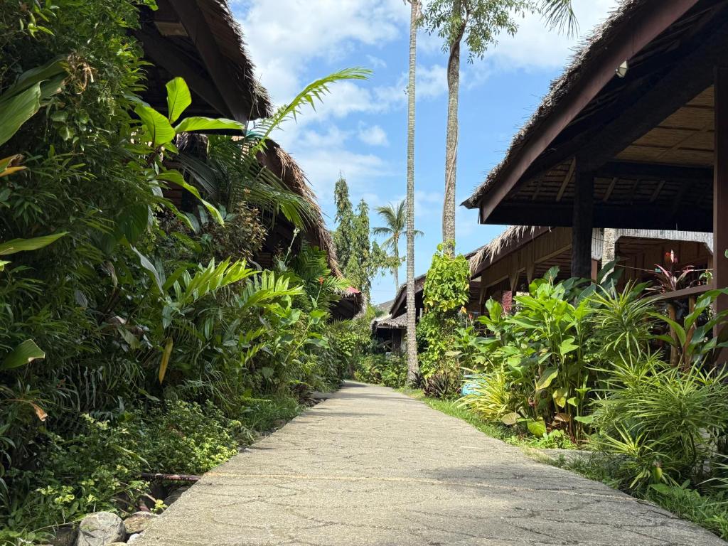Surrounding environment