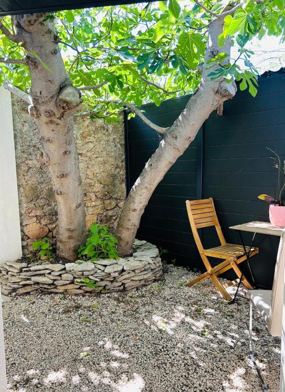 Studio avec Jardin - 4