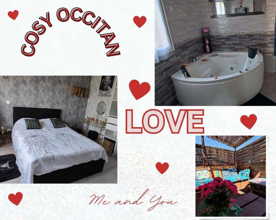 Le Cosy Occitan villa chaleureuse indépendante baignoire terrasse jardin - 5