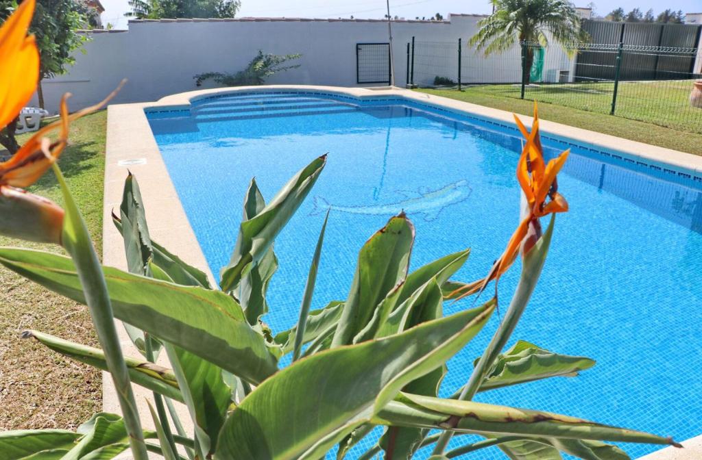 Bungalow Ramos - 2