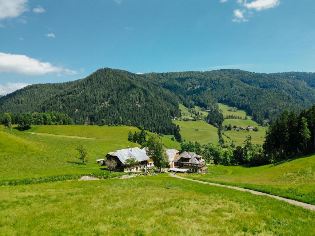 Glatz Hof Appartement Nockberge - 4