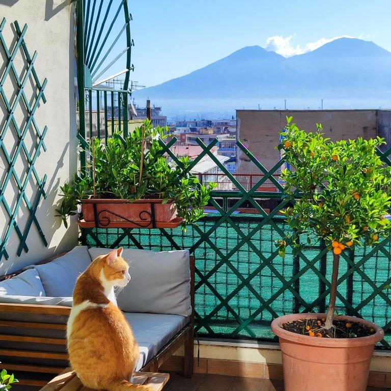 LA CASA BLU - 2