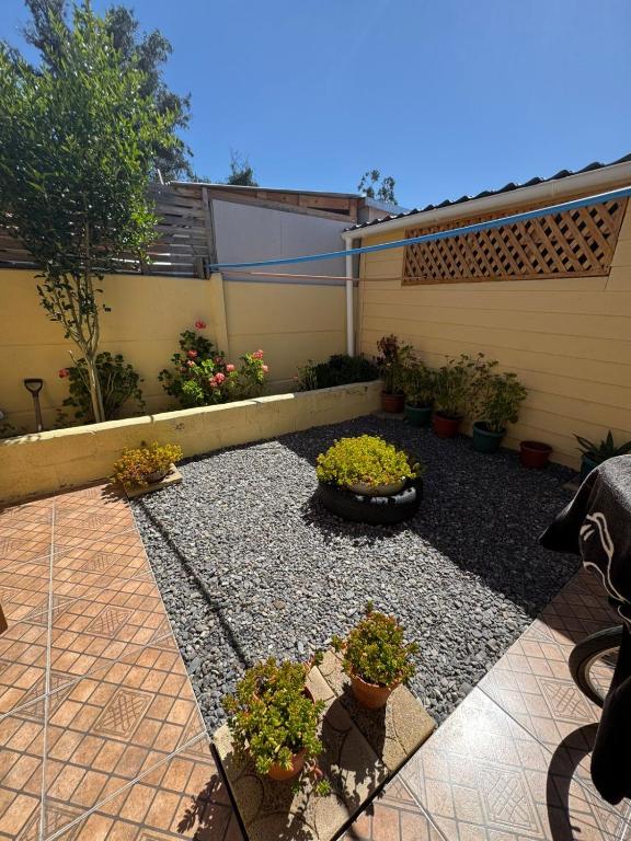 La Casita - 5