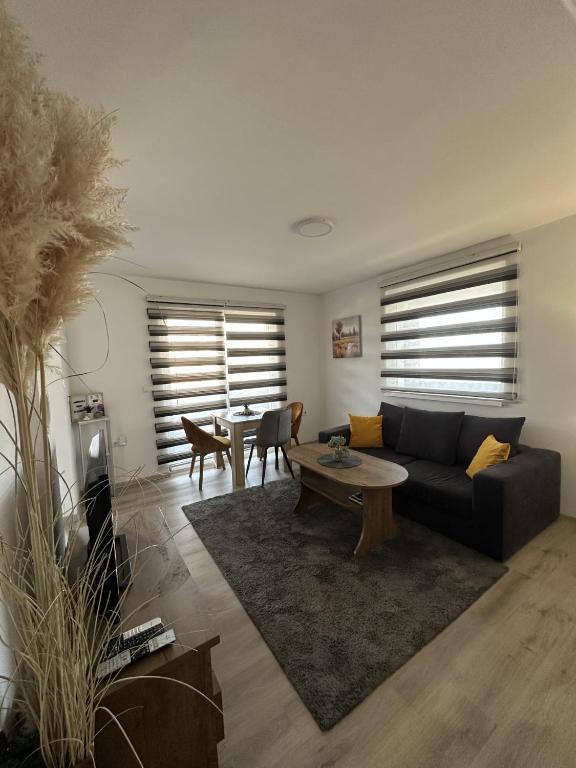 Ammirevole Ravne Apartments - 4