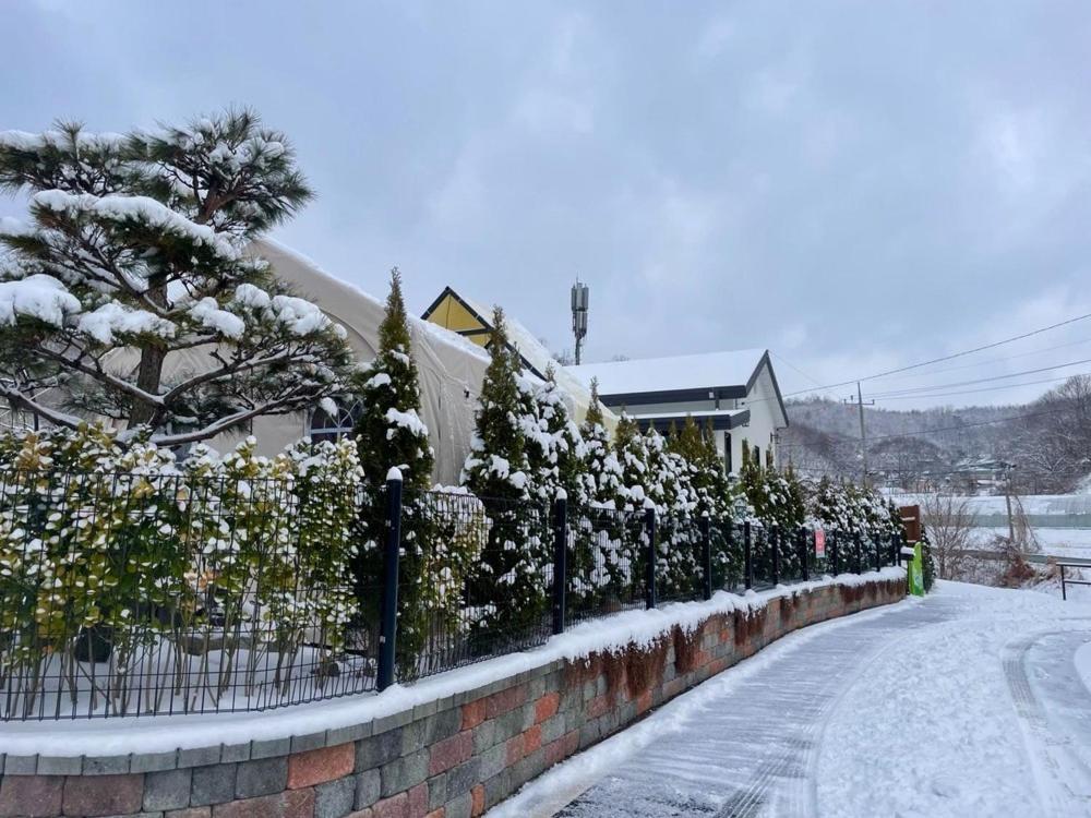 4. 세라의 작은정원..