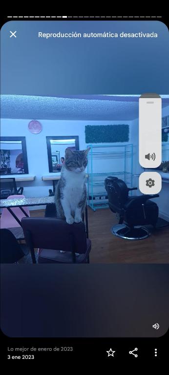 Magic, Sahuayo de José María Morelos