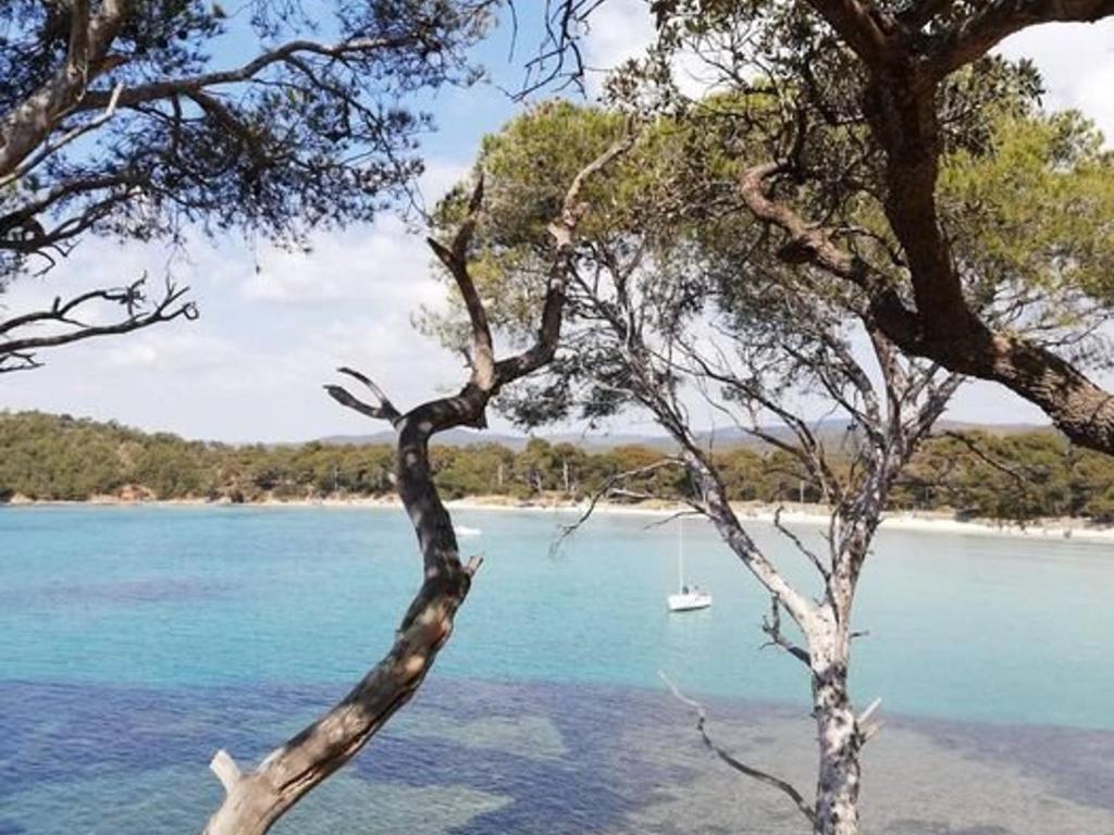 Maison climatisée avec grand jardin, proche plage et commerces - FR-1-610-102 - 4