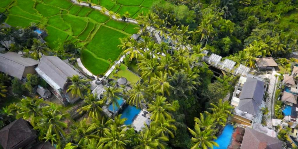 Hotel Property