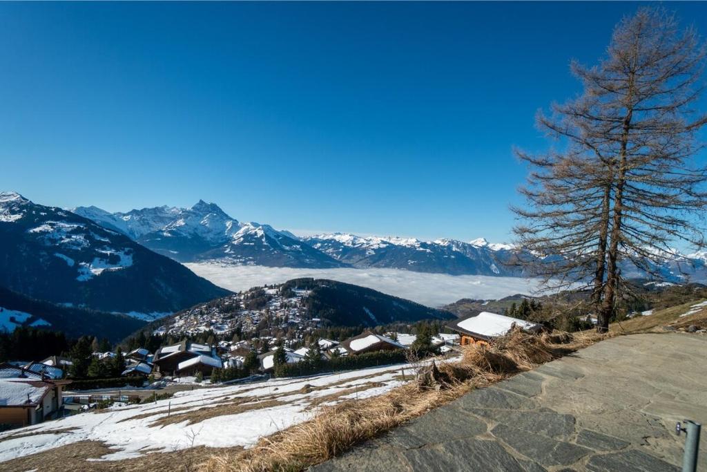 Chalet Choucas - 3