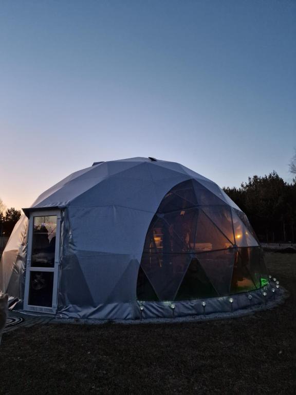 Rojus dviems, Žaugėdai