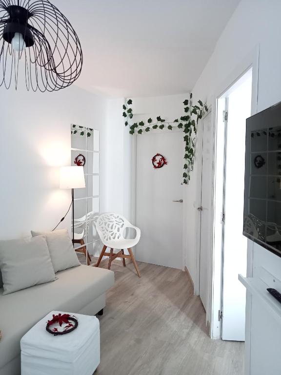 Apartamento 1 dormitorio - 4