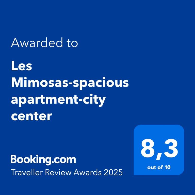 Les Mimosas-spacious apartment-city center - 2