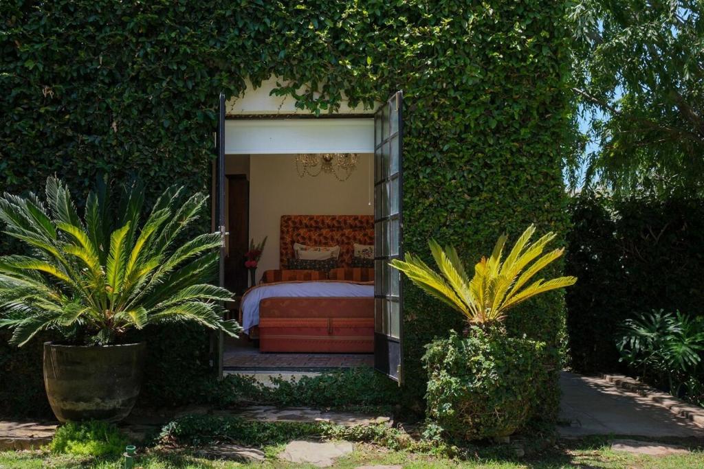 The Ivy Studio, McGregor