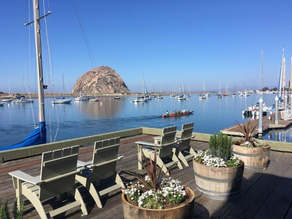 Estero Inn ガーデン