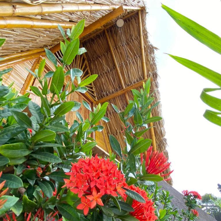 Awala Beach Club - 5