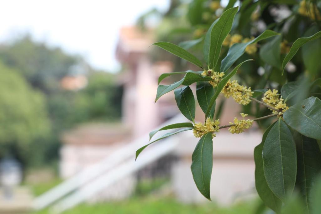 Surrounding environment