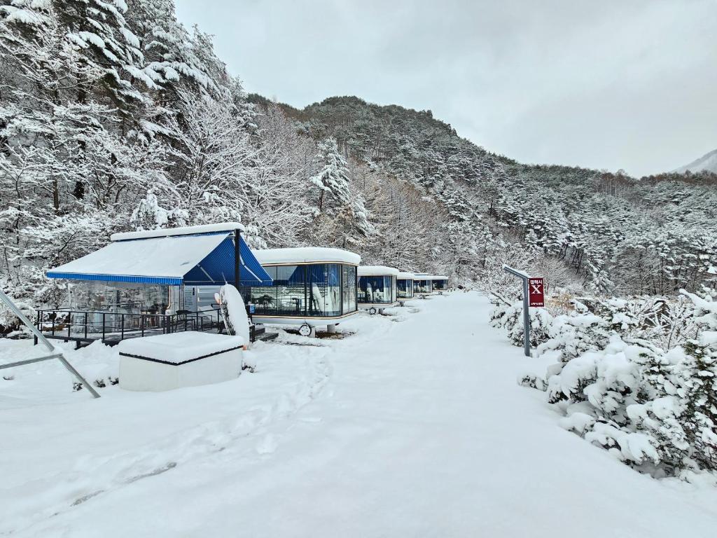 전망