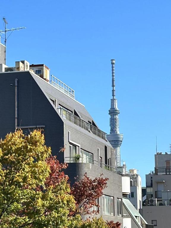 Ueno Sky Garden -Rooftop Skytree View