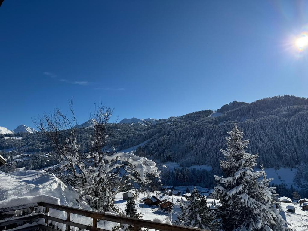 Chalet Cosy Les Gets Vue Montagne, Les Gets