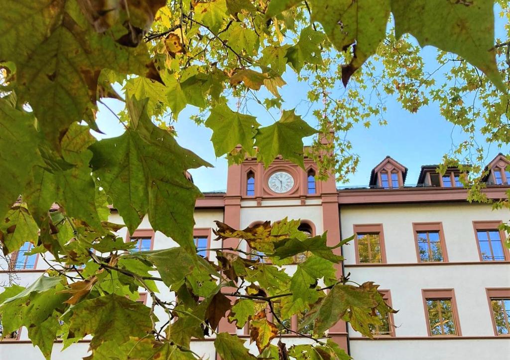 ODELYA - Stadthotel im Park, Basilej