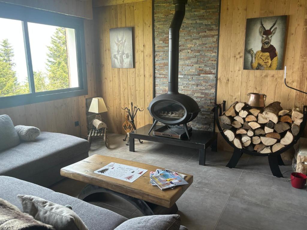 Chalet Le Bisolet - 3