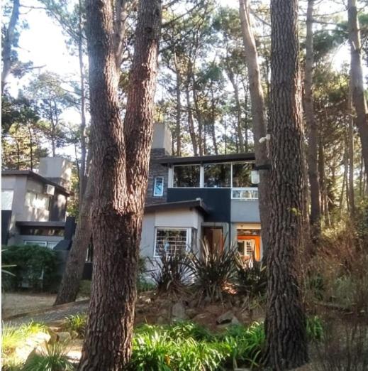 Limite Sur, Mar Azul