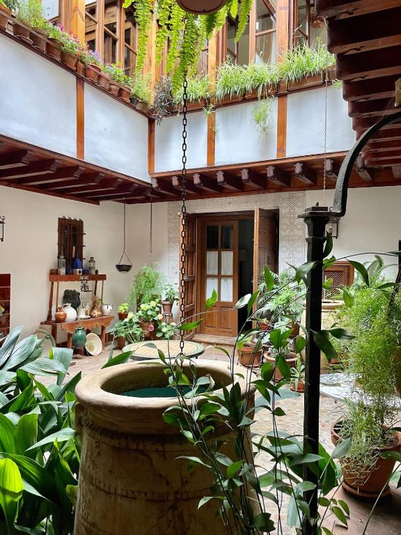 Apartamento a 50 metros de la Catedral - 1
