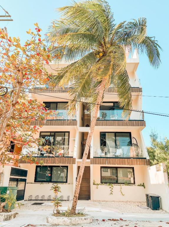 Gaia, Retreat Close to the Sea in Puerto Morelos - 2