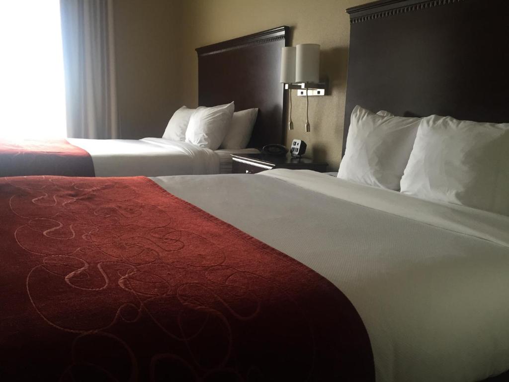 Comfort Suites Marietta-Parkersburg photo