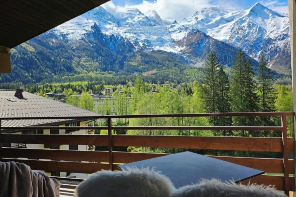 Charming T3 with terrace in Chamonix, Chamonix-Mont-Blanc