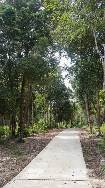 Surrounding environment