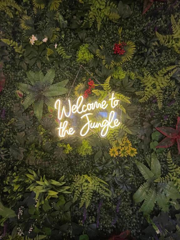 Jungle Room - Atypique - Spacieux - WIFI - TV 4K - Vue Sur Ville - Confort - 2