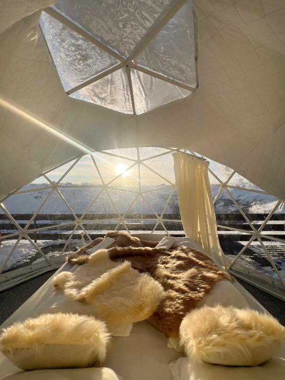 Berghotel Pischa Mountain Lodge - 1